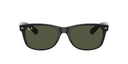 RAYBAN 067235