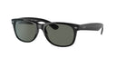 RAYBAN 075858