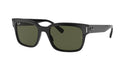 RAYBAN 089194
