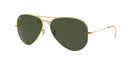 RAYBAN 069411