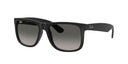 RAYBAN 067268