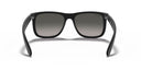 RAYBAN 067268