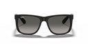 RAYBAN 067268