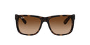 RAYBAN 067269