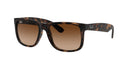 RAYBAN 067269