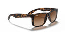 RAYBAN 067269