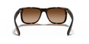 RAYBAN 067269