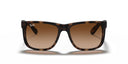RAYBAN 067269