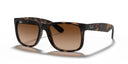 RAYBAN 067269
