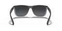 RAYBAN 067272