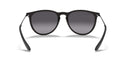 RAYBAN 069422