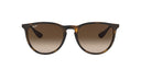 RAYBAN 069426