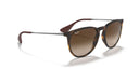RAYBAN 069426