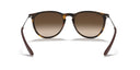 RAYBAN 069426