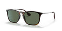 RAYBAN 082339