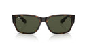 RAYBAN 093964