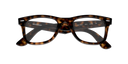 RAYBAN 083336