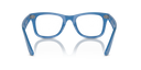 RAYBAN 098799